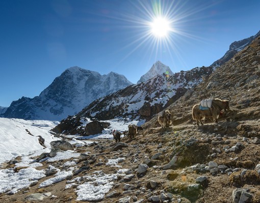 17 Days Everest Base Camp Trek