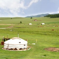 64065083 - the ger camp in a large meadow at ulaanbaatar , mongolia