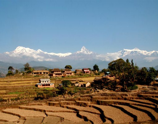 8 Days Nepal Panchase Trek with Nagarkot Tour