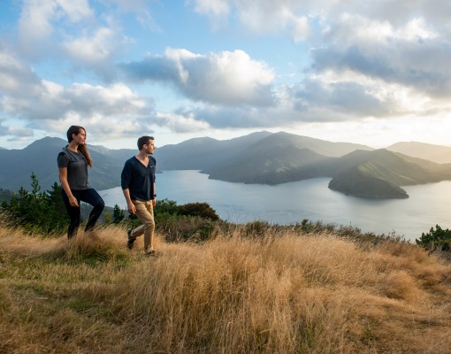 divine-explore-experience-new-zealand-Queen-Charlotte-Track-Marlborough-Mike-Heydon